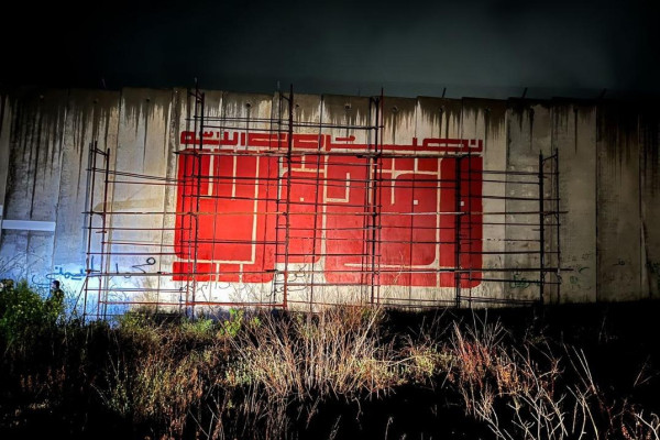 Murals for Palestine